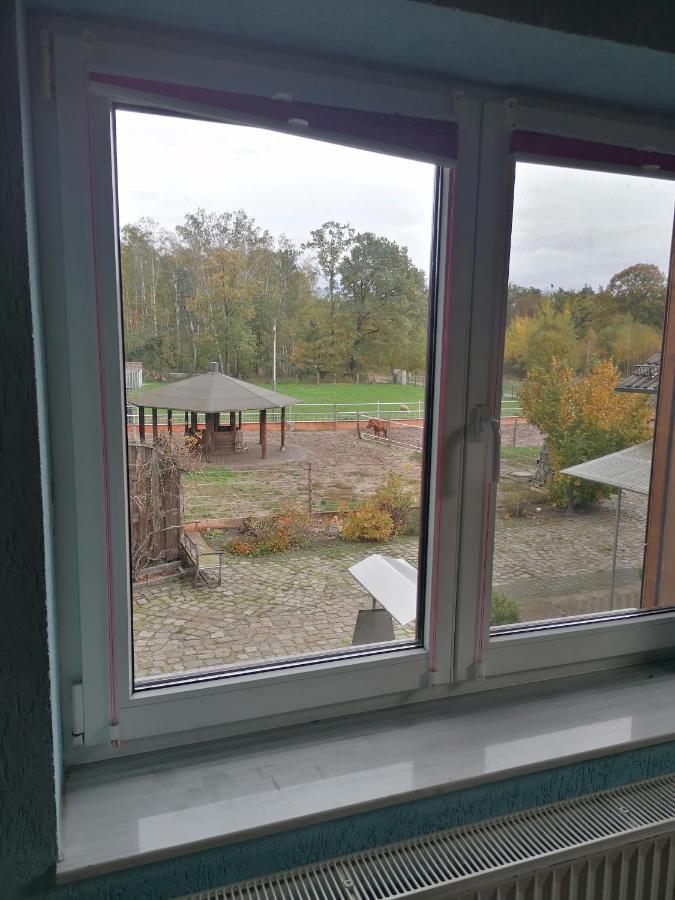Weidmannsruh Apartment Fuer 2 Bis 3 Personen Frauendorf  エクステリア 写真